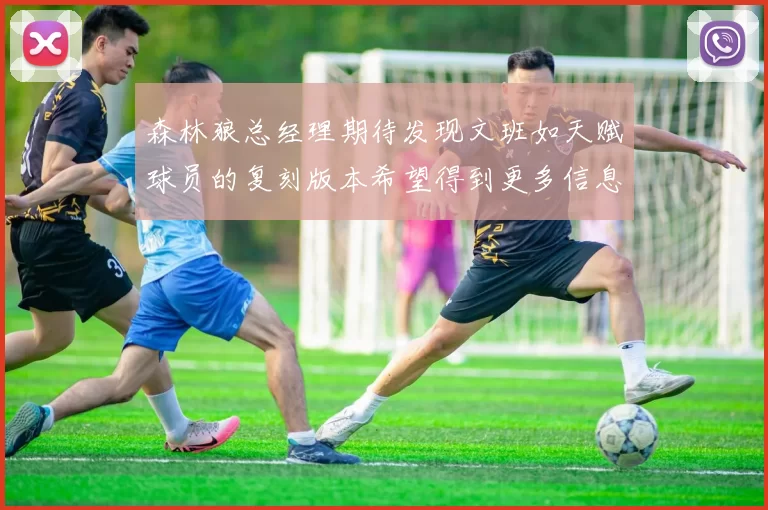 森林狼总经理期待发现文班如天赋球员的复刻版本希望得到更多信息