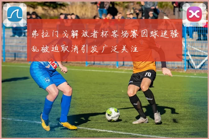弗拉门戈解放者杯客场赛因球迷骚乱被迫取消引发广泛关注